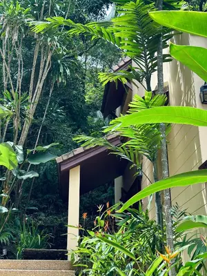 a building with a bunch of plants around it at Patong Beach\u68ee\u6797\u5c4b111 in Patong Beach