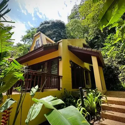 Patong Beach森林屋111