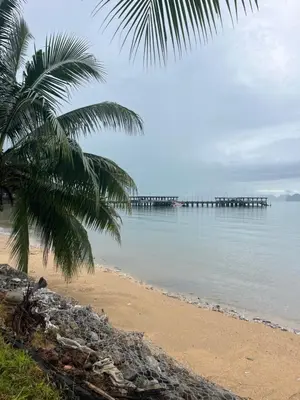 a beach with a palm tree and a pier at ThaKhaopierBangalow in Ban Bang Chak