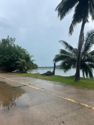 a road with palm trees and a pier in the water at ThaKhaopierBangalow in Ban Bang Chak