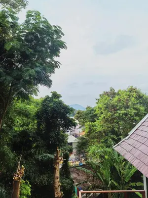 a view of a forest of trees from a house at modern hill villa \u5c71\u95f4\u89c2\u6d77\u79c1\u4eba\u522b\u5885 in Patong Beach