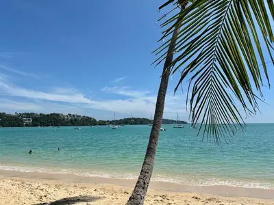 a palm tree on a beach with people in the water at Areeya Khao Khad Aoyon Beach in Ban Ao Makham