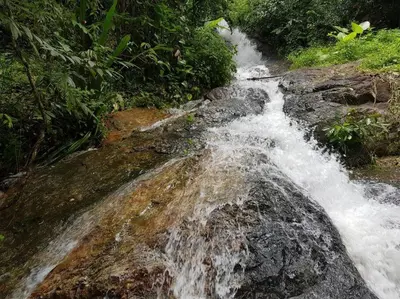 a waterfall on the side of a river in the jungle at Bangtao Wooden house resort and cafe in Ban Thalat Choeng Thale