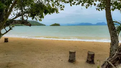 a beach with a tree and the ocean at Koh Yao Seaview Bungalow in Ko Yao Noi