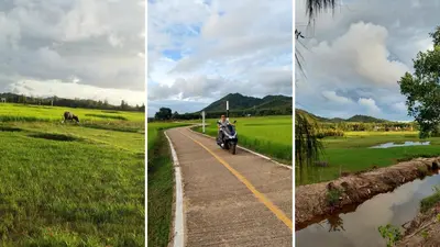 two images of a person riding a motorcycle on a road at Bung Bud Garden Bungalows & Homestay - Koh Yao Noi in Phangnga