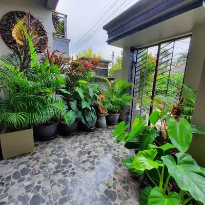 a room filled with lots of plants at Naiharn high view villa in Rawai Beach