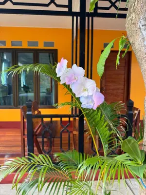 a plant with pink flowers in front of a building at Baan Suan Sunset in Ban Laem Sai