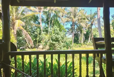 a view from the balcony of a resort with palm trees at Leamsai House in Ban Laem Sai