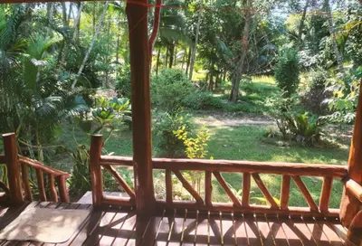 a screened porch with a view of a garden at Leamsai House in Ban Laem Sai