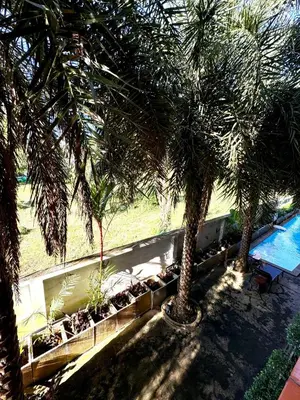 two palm trees in front of a swimming pool at NBC апартаменты у пляжа in Rawai Beach