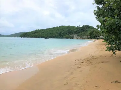 a beach with the ocean and trees in the background at Beach Front Sand Castle - kid friendly right on the perfect beach in Ban Ao Makham