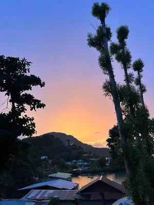 a view of a sunset with a palm tree at Hangover Chill & Hill Hostel in Phi Phi Don