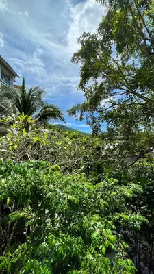 a group of trees in front of a house at The Title Residencies Naiyang in Phuket