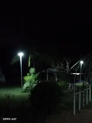 an elephant is standing in the dark at night at Koh Yao Yai Resort Ta & Yai ที่พักเกาะยาวใหญ่ตากับยายรีสอร์ท in Ban Lo Pa Ret