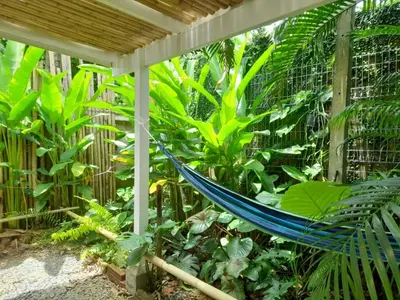 a hammock in a garden with green plants at Nui's Guesthouse in Ko Yao Noi