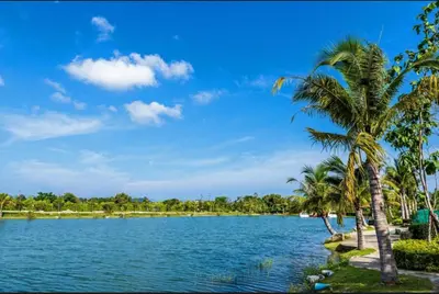 a view of a lake with palm trees at Chalong Miracle Lakeview in Chalong