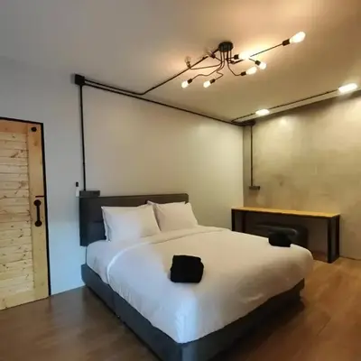 Cactus Villa 2024