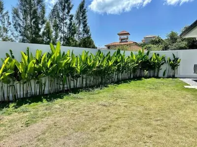 a fence with a row of plants in a yard at V150 5-Star Villa Perfect for Relaxation &Comfort in Rawai Beach