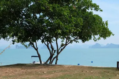 a tree sitting next to a body of water at Rawi Seaside Cottage, Ko Yao Noi in Ban Laem Sai