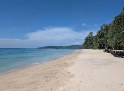 a sandy beach with trees and the ocean at Laguna BeachSide 200m to beach BangTao in Bang Tao Beach