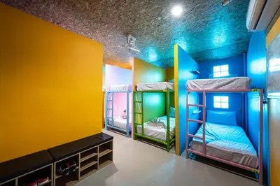 a room with four bunk beds in it at myPatong Social Hostel in Patong Beach