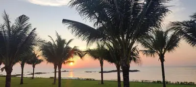 a group of palm trees on a beach with the sunset at The Regent Bangtao Spacious and comfortable studio at Bang Tao area in Bang Tao Beach