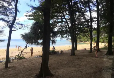 a group of people on a beach with trees at Nai Thon villa with pool, garden, rooftop terrace in Nai Thon Beach