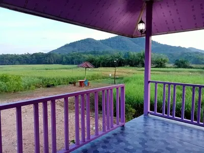 a porch with a view of a field at ทุ่งนา รีสอร์ท Rice Field Resort in Ban Khiam Ngam
