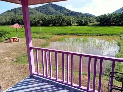 a porch with a view of a rice field at ทุ่งนา รีสอร์ท Rice Field Resort in Ban Khiam Ngam