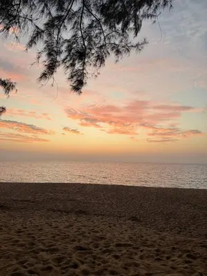 a beach with a tree and the ocean with a sunset at TENT Maikhao in Ban Mai Salae
