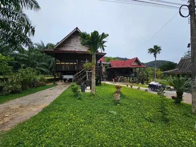 a building with a palm tree next to a road at Diindanghomestay in Ban Khao Klom