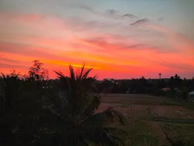 a sunset over a field with a palm tree at Уютная квартира рядом с пляжем Май Као in Ban Mai Salae