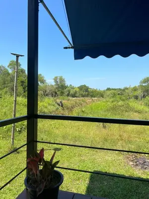 a view of a field from a window with a plant at Nature Home in Phang-nga