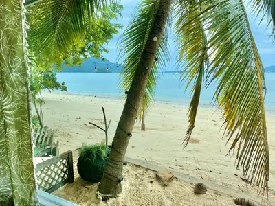 a palm tree sitting on a beach next to the ocean at Beach Loft in Ko Thanan