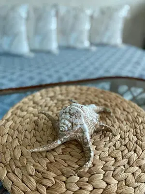 a lizard sitting on top of a basket at Beach Loft in Ko Thanan