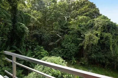 a white fence in front of a forest of trees at 4BR Villa B5 with Pool, Vibrant Life at Kata Beach - UTK5 in Kata Beach