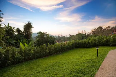 a grassy yard with a path next to a hedge at Baan Chom View Residences in Kamala Beach