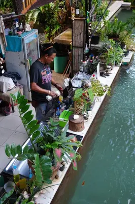a man standing next to a table with plants at Tropical Hostel in Phi Phi Don