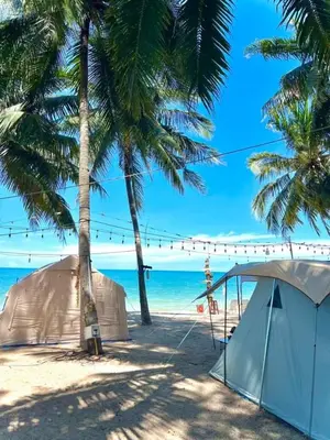 a tent and palm trees on a beach with the ocean at Naturist Beach Camping Private Beach Phuket in Ko Lone