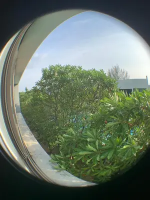 a view of a tree in a mirror at Beautiful space in Ban Sam Kong