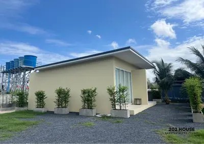 a house with four potted trees in front of it at 202 HOUSE near Bangtao Muay Thai & MMA in Ban Thalat Choeng Thale