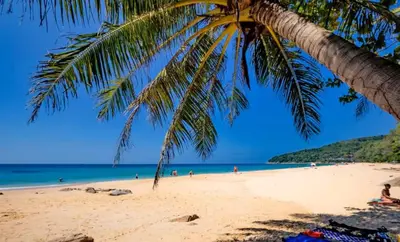 a palm tree on a beach with people on it at 01 - Beach Villa Retreat in Nai Yang Beach