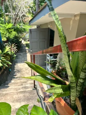 a house with a gate and some plants at Chill Apartment Lake View in Rawai Beach