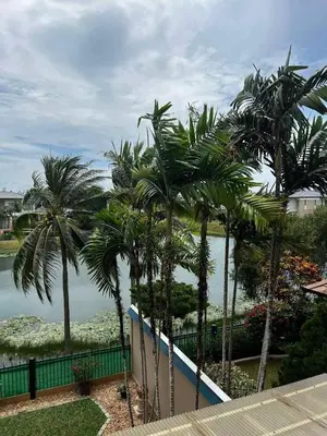 a row of palm trees in front of a body of water at Villa Laguna Bang Tao in Laguna Phuket