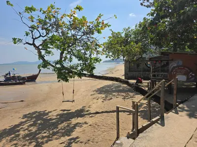 a tree on a beach with a swing at The beach front Condo in Ban Saiyuan (1)