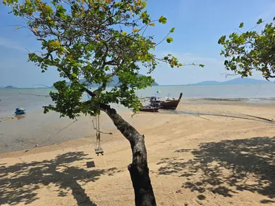 a tree on the beach with a swing at The beach front Condo in Ban Saiyuan (1)