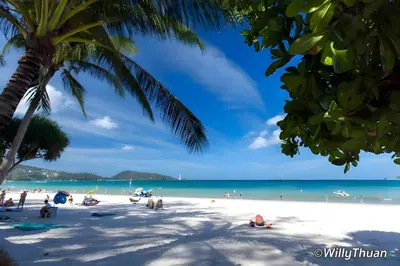 a group of people on a beach with a palm tree at XX GO INN Patong Beach Phuket in Patong Beach