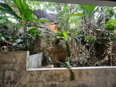 a concrete wall in a forest with trees at Nern khao Guesthouse in Kamala Beach