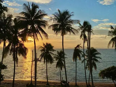 a group of palm trees on a beach with the ocean at Villa Miyoko Ko Yao Noi Enjoy nature's beauty and stunning sunsets in Ko Yao Noi