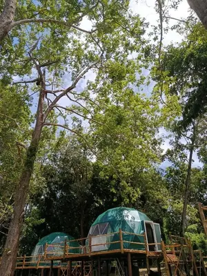 two domes in the trees at a park at NATUR - Krabi Campsite Glamping & Camping in Krabi town